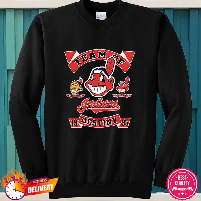 Vintage Cleveland Indians 1995 Team of Destiny Shirt Size Medium